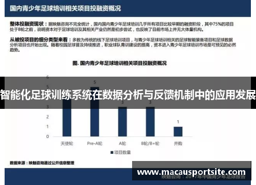 智能化足球训练系统在数据分析与反馈机制中的应用发展
